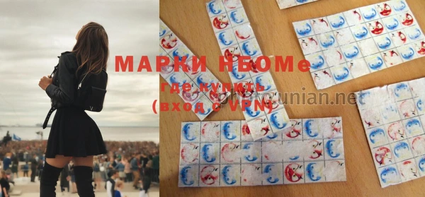 стаф Семикаракорск