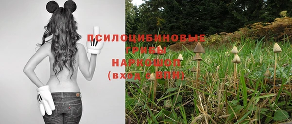 бутират Баксан